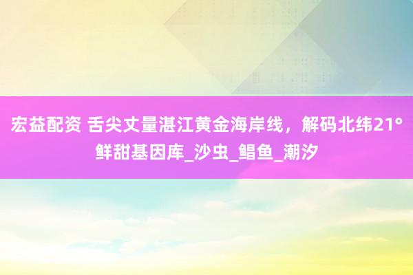 宏益配资 舌尖丈量湛江黄金海岸线，解码北纬21°鲜甜基因库_沙虫_鲳鱼_潮汐