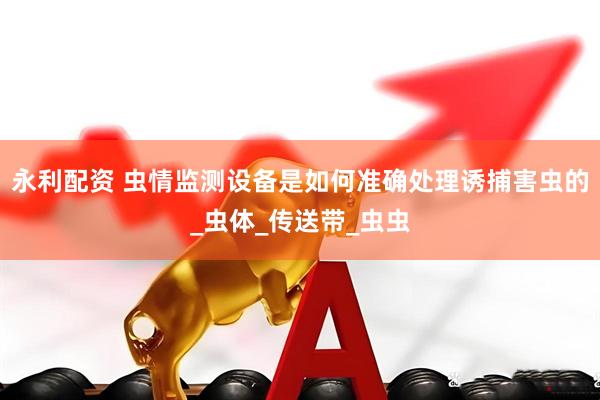 永利配资 虫情监测设备是如何准确处理诱捕害虫的_虫体_传送带_虫虫