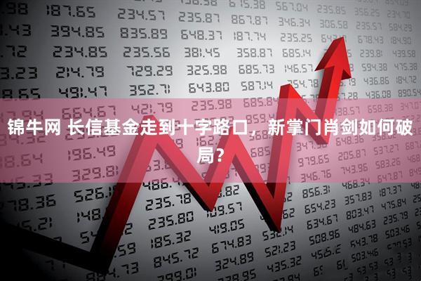 锦牛网 长信基金走到十字路口，新掌门肖剑如何破局？